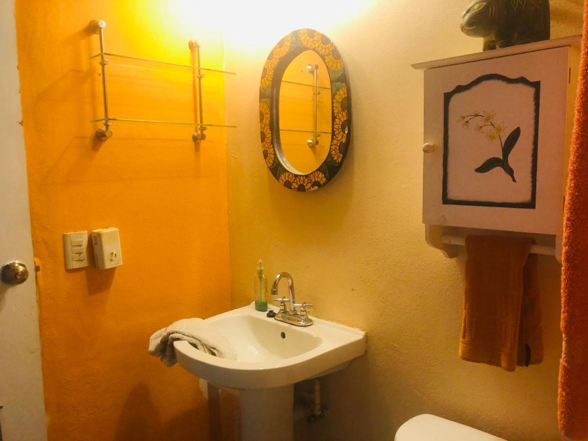 Casa Cereza Apartments プエルトバラータ エクステリア 写真