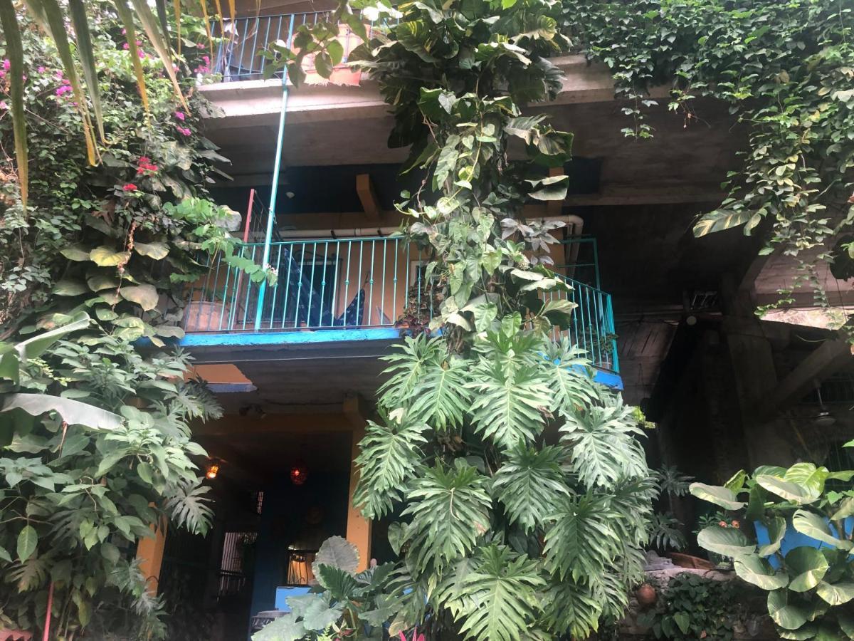 Casa Cereza Apartments プエルトバラータ エクステリア 写真