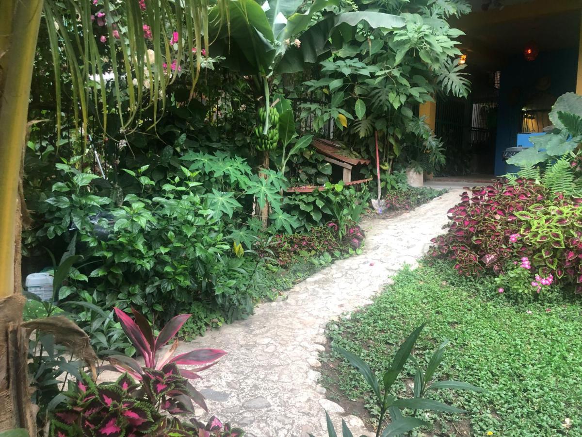 Casa Cereza Apartments プエルトバラータ エクステリア 写真